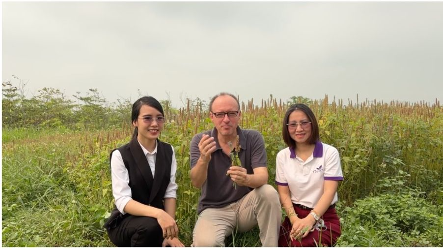 Mở ra hướng đi cho sản phẩm hạt chia của Việt Nam vào thị trường Áo